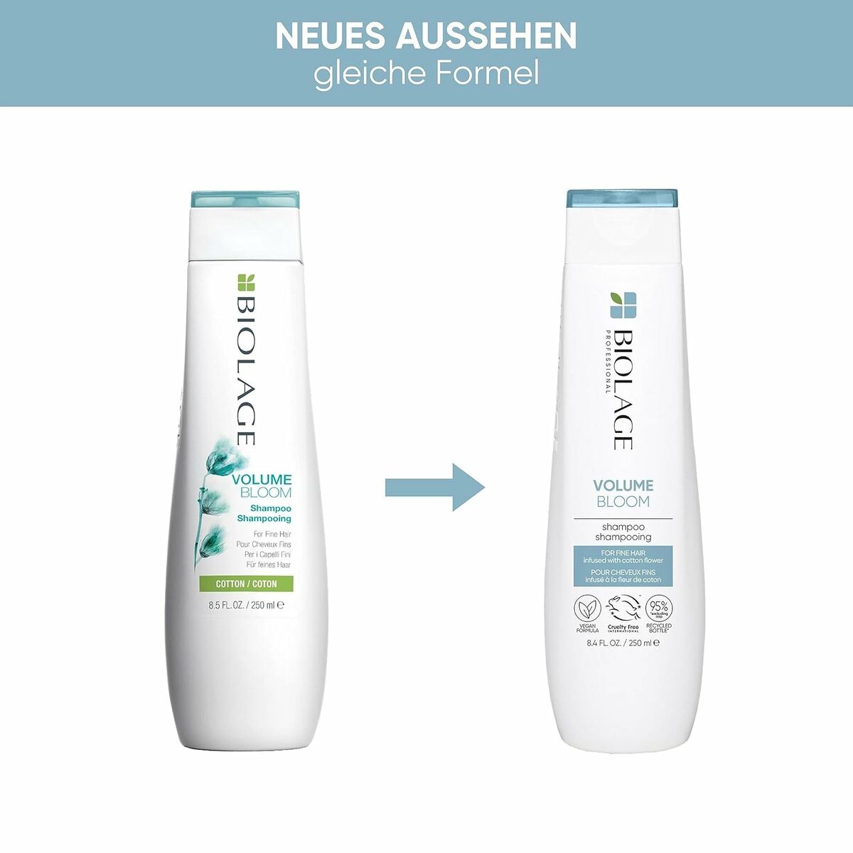 V6H58B4BE52C454AD85245F2347A94E2E8CR4443873P2