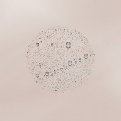 V5H5A6559818D078F71CC53BBE003EE6766R6952868P2