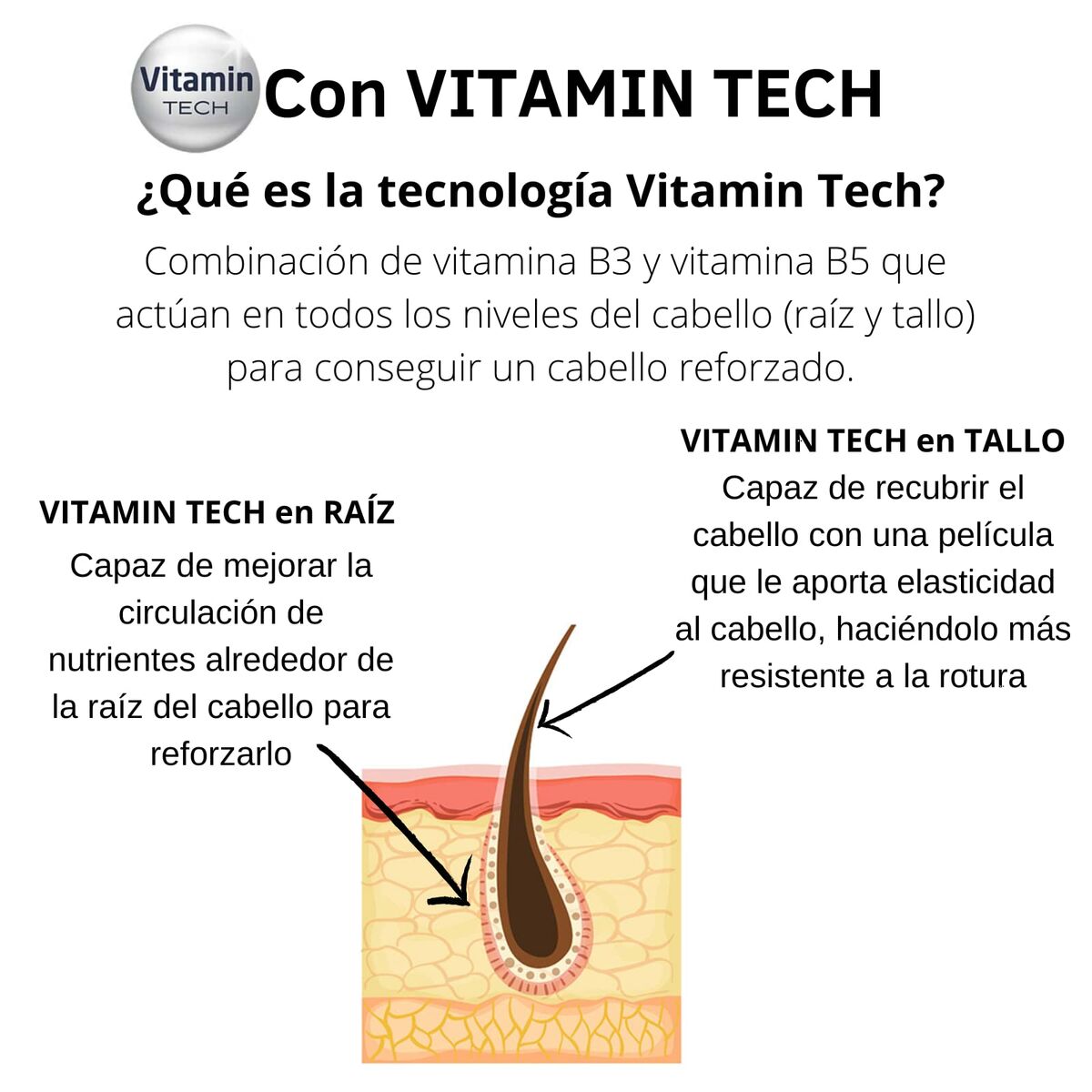 V8H3AEF1373927D1EB9AC51304688AD7876R4327530P3